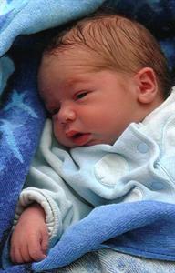 Photo 44709