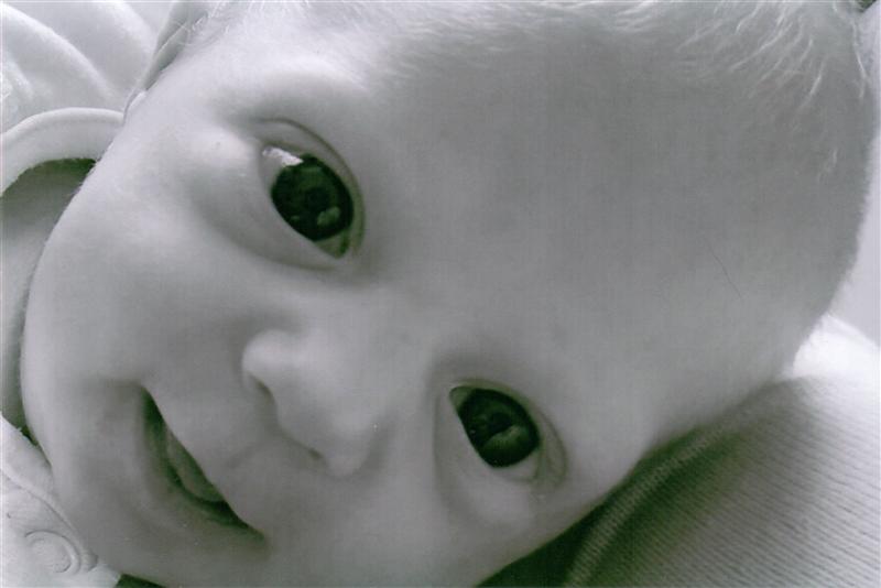 Photo 369528