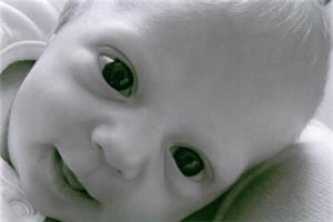 Photo 369528