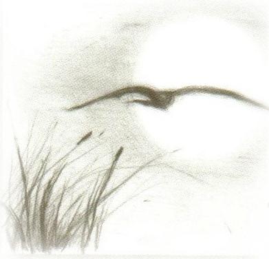 Photo 733254