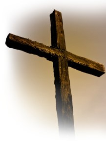Photo 749594